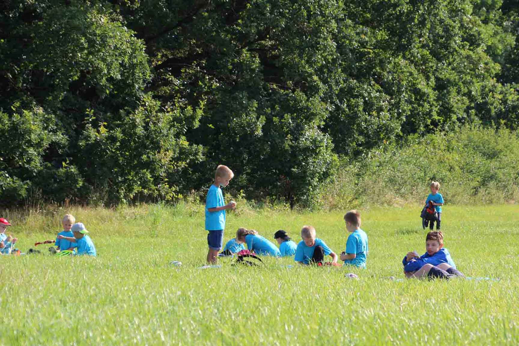 Auf der Wiese